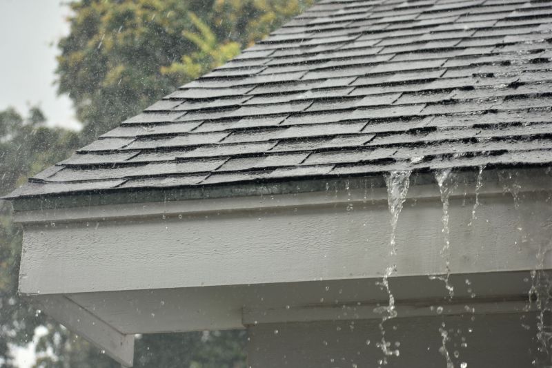 Gutter and Roof Interface Repair