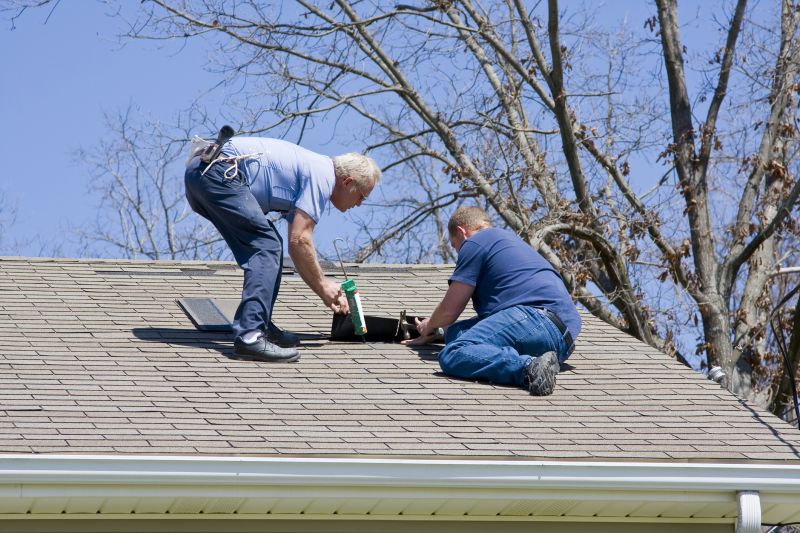 Expert Asphalt Shingle Repair